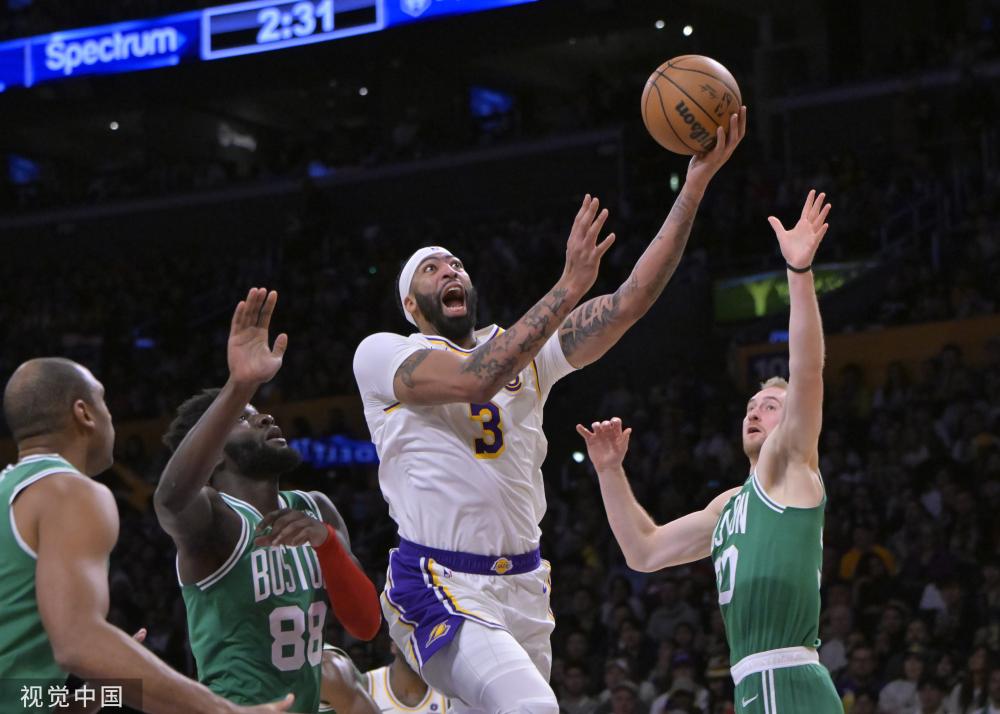 和适应能力 和适应能力